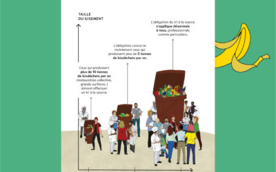 « Le compost, une arme de transition massive » (Julie Lenormant)